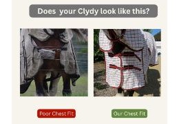 Why Your Horse Rug Doesn’t Fit (And How to Fix It for Big Horses & Clydesdales)