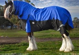 Why Horse Rugs Gap at the Chest on Big Horses (And How to Fix It)